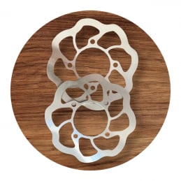 Wave Brake Rotor ETM RTR SET