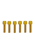 ETM RTR/RIZZLER STAINLESS STEEL BRAKE CLAMP BOLTS (QTY 4) FULL SET