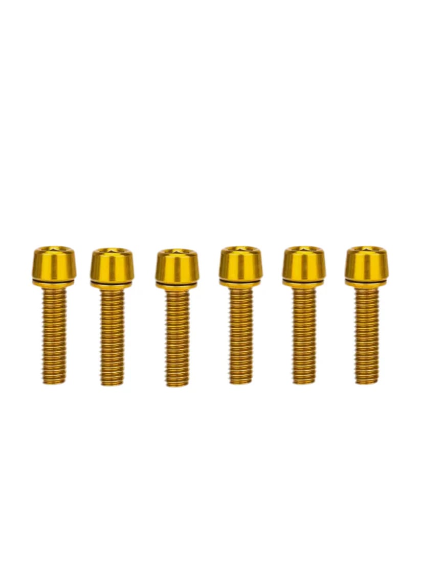 ETM RTR/RIZZLER STAINLESS STEEL BRAKE CLAMP BOLTS (QTY 4) FULL SET