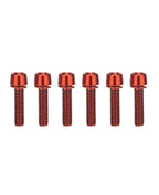 ETM RTR/RIZZLER STAINLESS STEEL BRAKE CLAMP BOLTS (QTY 4) FULL SET